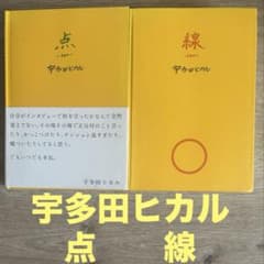 宇多田ヒカル　点と線 2冊セット 点-ten- 線-sen- 宇多田ヒカル 2冊セット - メルカリ