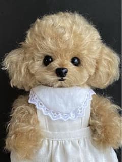 トイプードル　アプリコット　テディベア　ぬいぐるみのサムネイル