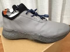ECCO 24.5センチ　BIOM H5 エコー