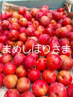 まめしぼりさま専用のサムネイル