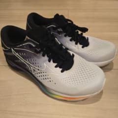Mizuno OSAKA ランニングシューズ　26.5のサムネイル