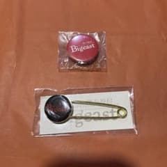 동방신기 Bigeast 캔 배지 스톨 핀 세트