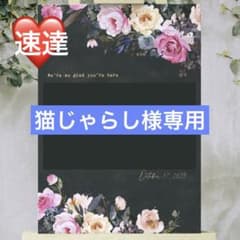 ⭐️購入前必ずコメント下さい 四季咲きバラ苗 超強健 消毒一切不要 青