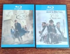 ファンタスティックビースト ブルーレイ 2作品セット レンタル落ちブルーレイのサムネイル