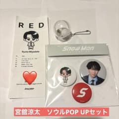 Snow Man 1st popup ピンバッジセット 相性診断書 宮舘涼太