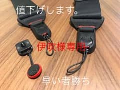 PeakDesign ピークデザイン スライドライト ブラック SLL-BK-3のサムネイル