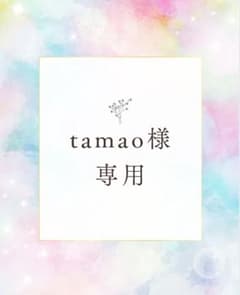 ☆tamao様専用☆bride me ピアス　ブライダルアクセサリー(値下げ中)のサムネイル