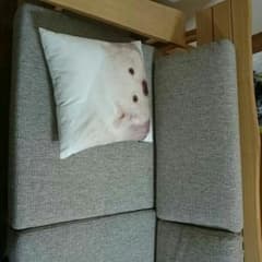 ソファのサムネイル