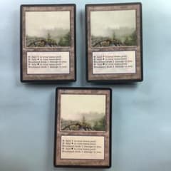 *バラ売り可* 低木林地/Brushland ICE英語3枚セット バラ売り可* 低木林地/Brushland ICE英語3枚セット - メルカリ