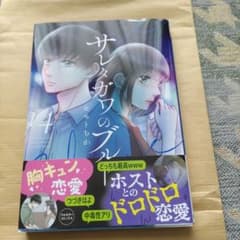 サレタガワのブルー 14のサムネイル