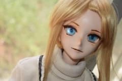 カスタムヘッド ドルフィードリーム DDH ヘッドのみのサムネイル