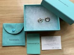 Tiffany & Co. シルバー カフリンクス(男女兼用)のサムネイル
