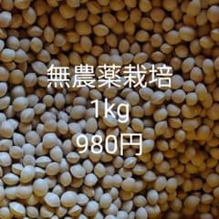 ぎんなん 無農薬栽培 1kg ①のサムネイル