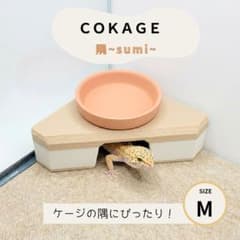 COKAGE【隅 M】爬虫類ウェットシェルター 薄茶&アイボリー 爬虫類