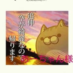 4000円→特別価格！最高級AAA浄化石★水晶さざれ石★ヒマラヤ産のサムネイル