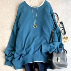 美品 エブリデイアイライク コットンベーシックニット 大人カラー