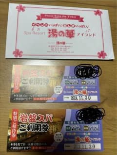 湯の華アイランド 岩盤スパ利用券2枚のサムネイル