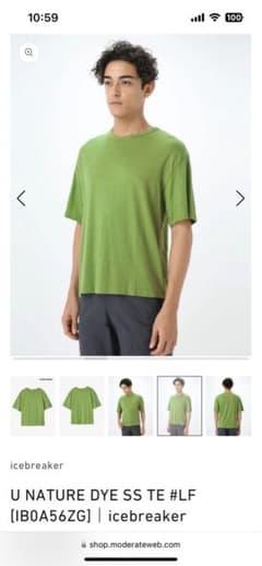 icebreaker U NATURE DYE SS メリノウール Tシャツ 緑 - メルカリ