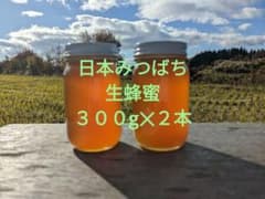 日本みつばち　生蜂蜜　国産純粋　日本蜜蜂蜂蜜　#2のサムネイル