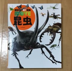 講談社動く図鑑  昆虫  DVD付きです  楽様専用のサムネイル