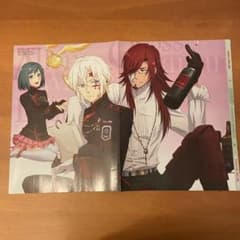 D.Gray-man HALLOW 양면 핀업
