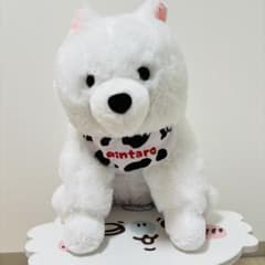 くったりサモエドくん×サモエドりんたろう ウルトラBIGぬいぐるみ うし柄前掛けのサムネイル