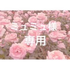 ミュミュ様 専用のサムネイル