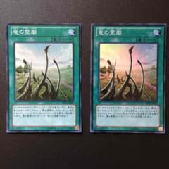遊戯王 竜の霊廟 2枚のサムネイル