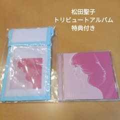 松田聖子　永遠の青春,あなたがそこにいたから。のサムネイル