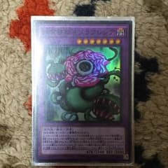 捕食植物キメラフレシアのサムネイル