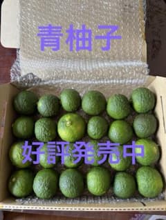 青柚子　24個(約１キロ)のサムネイル