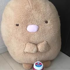 すみっこぐらし ぬいぐるみのサムネイル