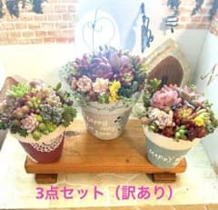 ❤️多肉植物そのまま飾れる❤️素焼き陶器鉢（訳あり）3点セット