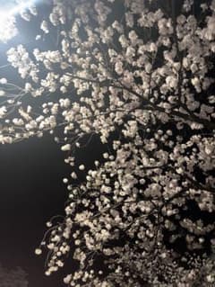 ゆうき様専用のサムネイル