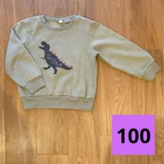 トレーナー　100のサムネイル