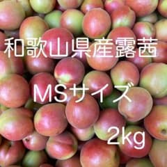 露茜 L〜2L 15kg 和歌山県産 梅酒 シロップ ジャム 露茜 MSサイズ 2kg 和歌山県産 梅酒 シロップ ジャム - メルカリ