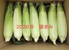 青森県産　嶽きみ　10本　2Lのサムネイル