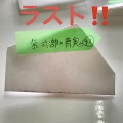 ︎︎ ♀紫式部×♂青鬼  種子   ㊷   多肉植物のサムネイル