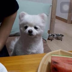 イェーイのサムネイル