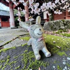 神域の守護】座敷わらし チョウピラコ 様が宿る 安寧の古兎【特級呪物