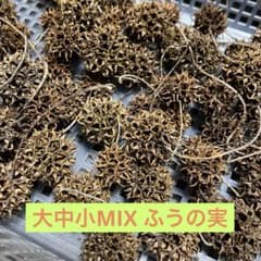 フウの実　フウノミ　ふうのみ　15個のサムネイル