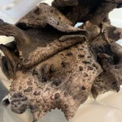 岩手県産天然香茸　訳あり100g