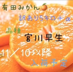 和歌山有田みかん　訳あり約5Kgのサムネイル