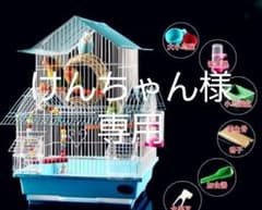 ２階建て鳥かごのサムネイル