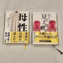 母性　豆の上で眠る　湊かなえのサムネイル