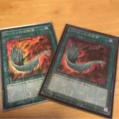 ハーピィの羽根箒 ２枚のサムネイル