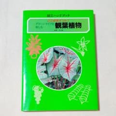グリーンライフを楽しむ観葉植物 : ここがポイント!のサムネイル