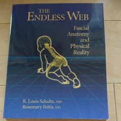 新品 他より安い THE ENDLESS WEB 英語版のサムネイル