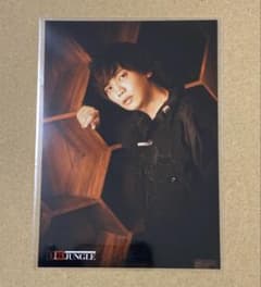 浅沼晋太郎 ブロマイド 王様ジャングル23 - メルカリ