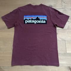 【d,h様専用 】patagoniaTシャツ Sサイズのサムネイル